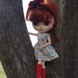 Blythe Doll Accessories